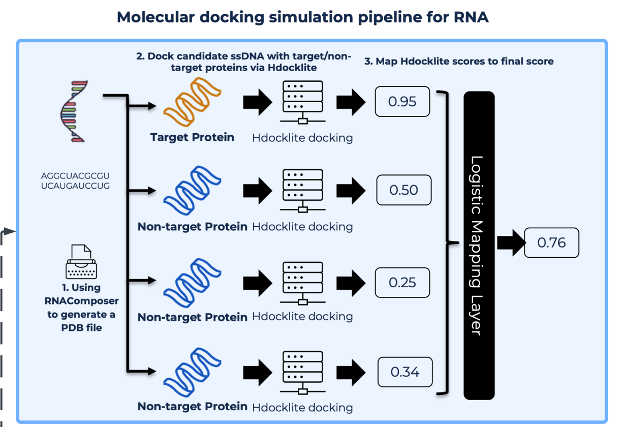 2024aptamer
