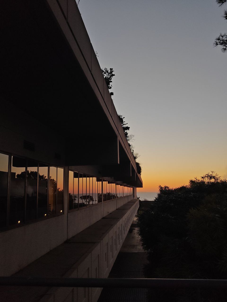 Scripps Research sunset